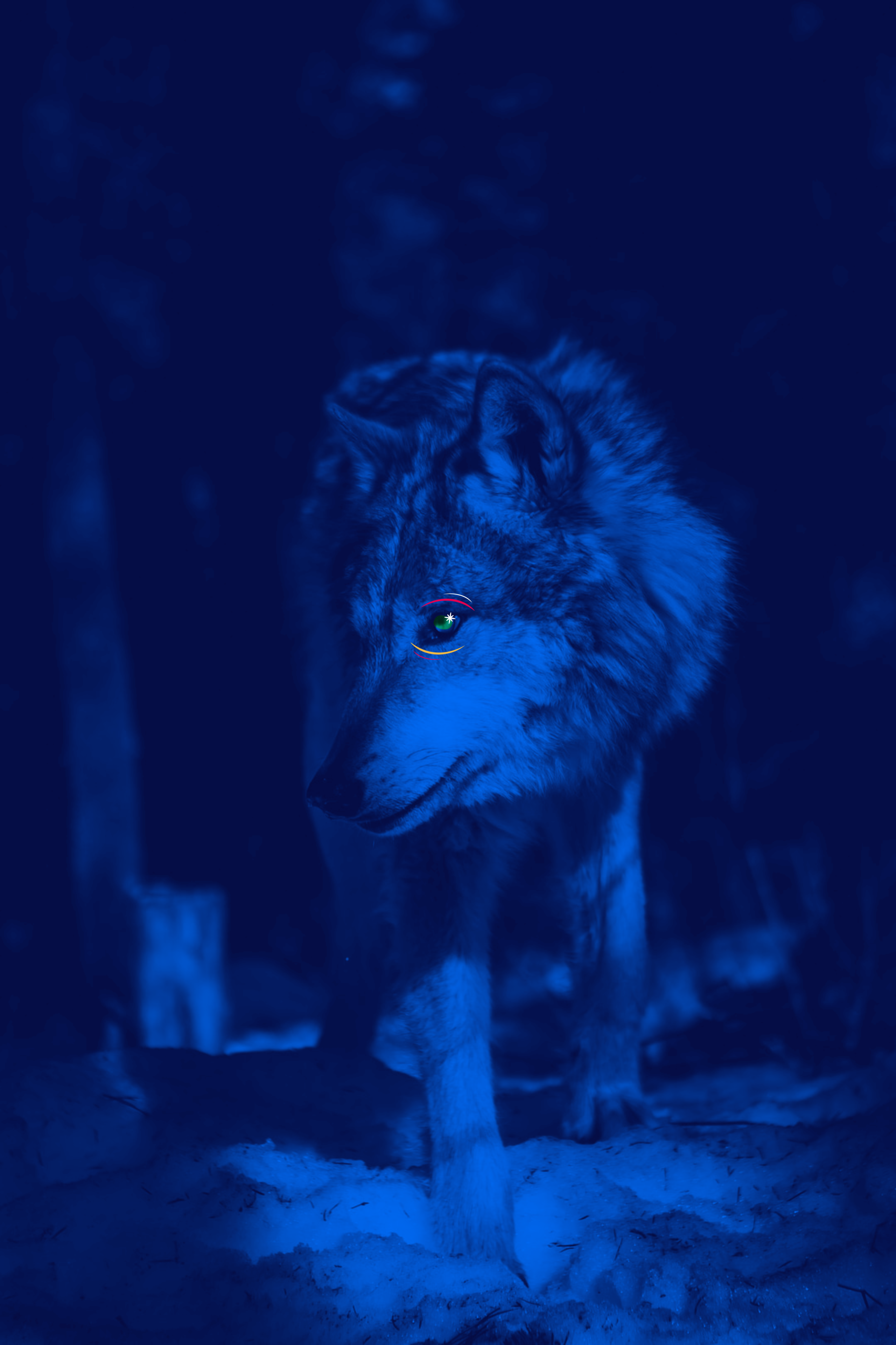 Loup_Logo_LaLouvedesBois_Studiographique