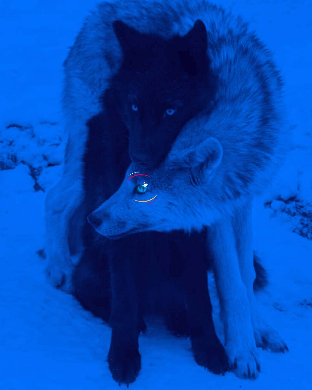 Confiance_LaLouvedesBois_Studiographique