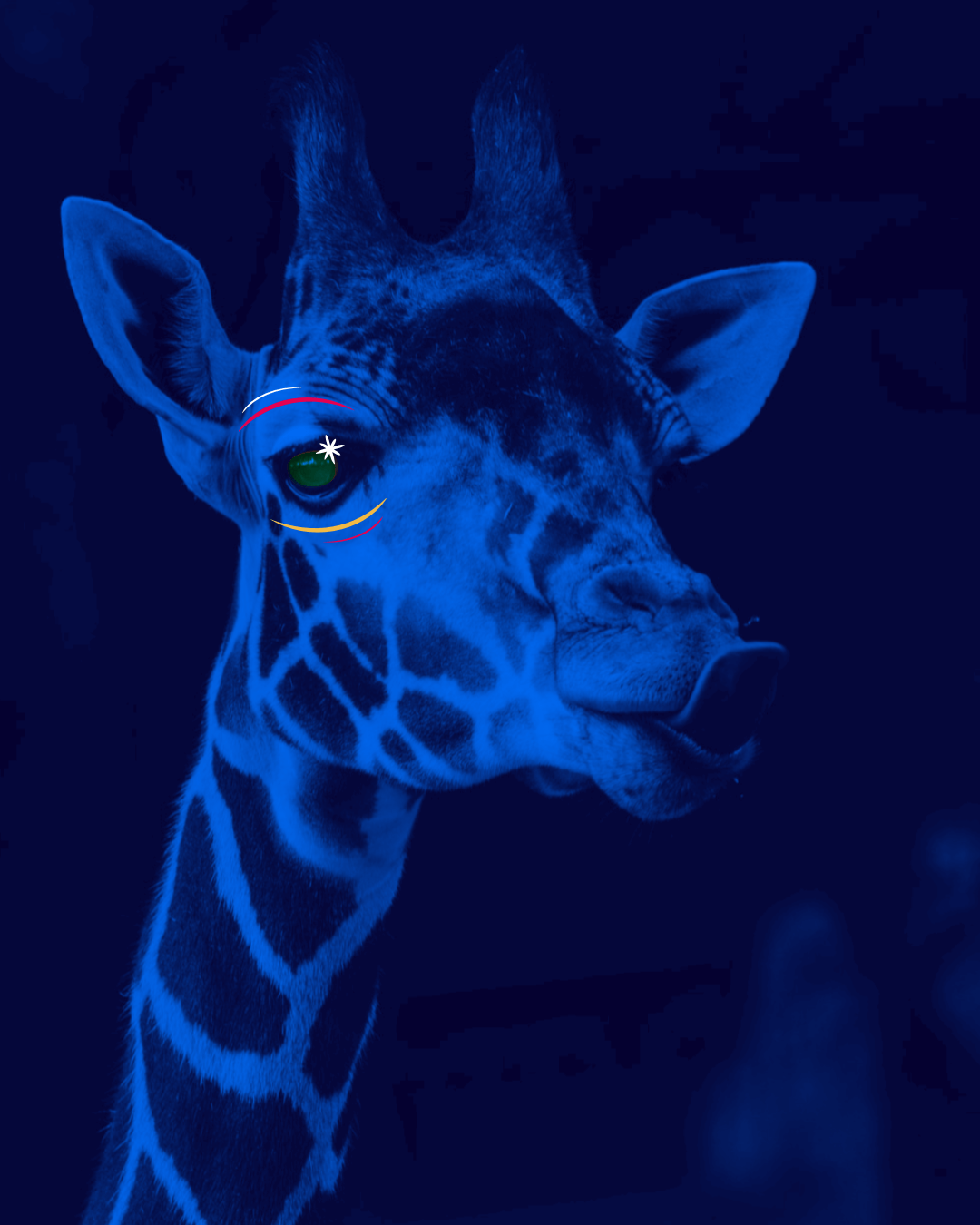 Ecoute_LaLouvedesBois_Studiographique