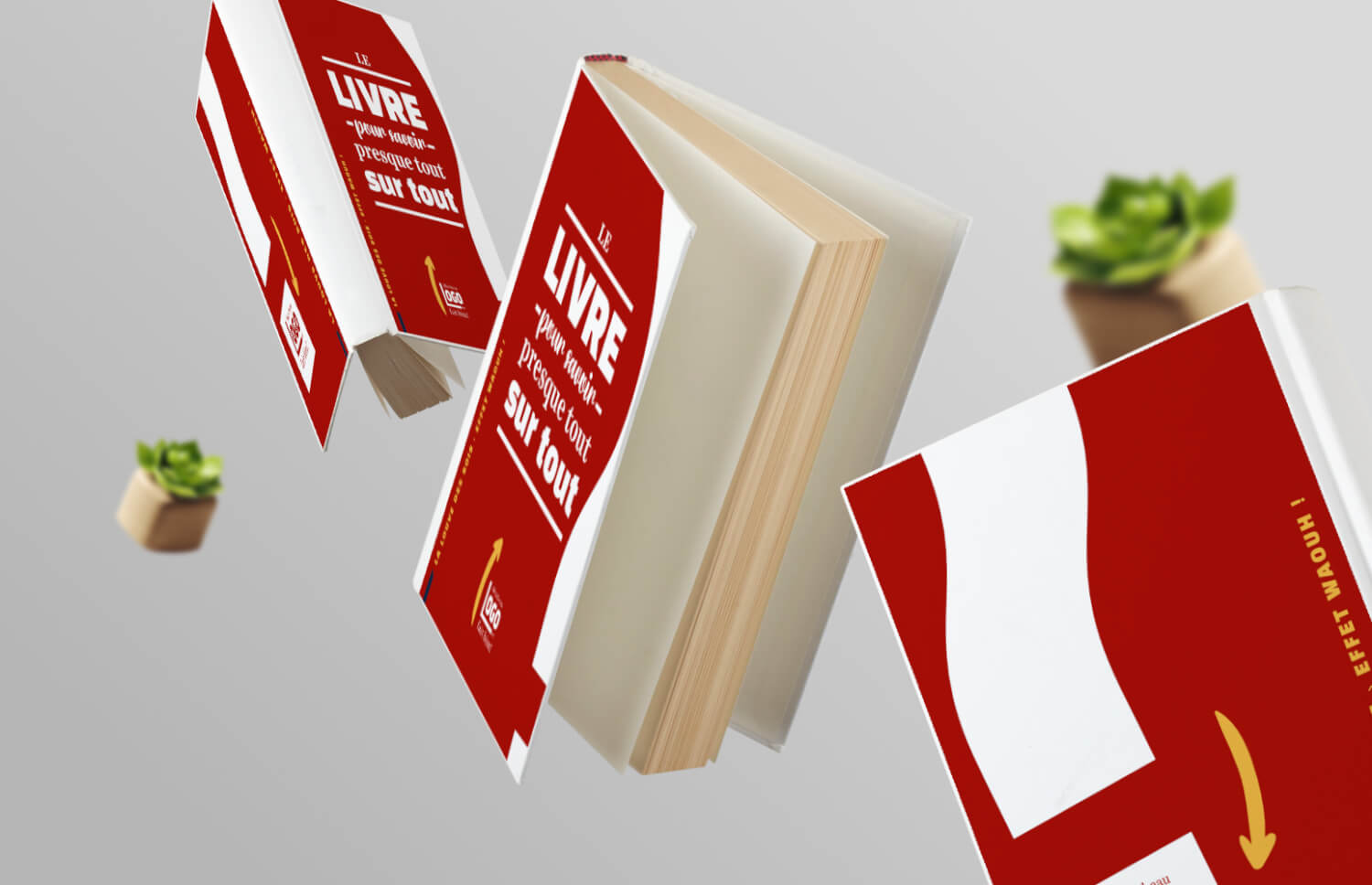 Livre-La-Louve-des-Bois-studio-graphique-communication à l'effet waouh