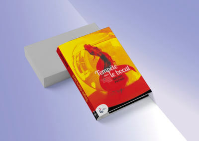 Couvertures alternatives, challenge créatif, essais