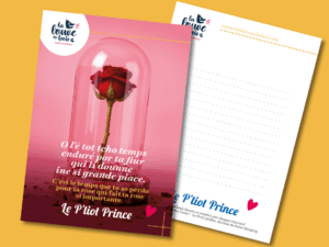 Carte postale Rose